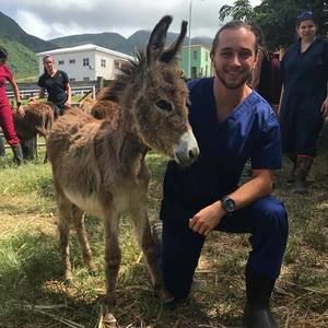 Meet your Posher, Brandon